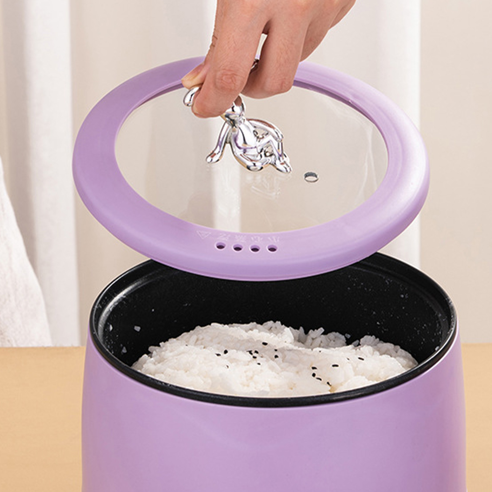 Mini fornello di riso elettric - Meal Prep Rice recensione e prezzo