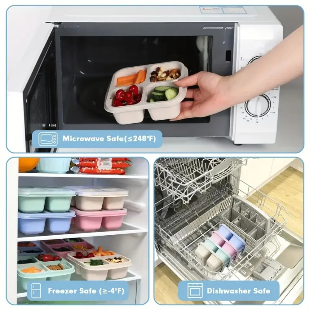 4 Grid Snack Box per bambini e - Meal Prep Kinder recensione e prezzo